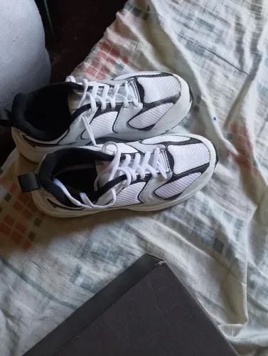 Tenis