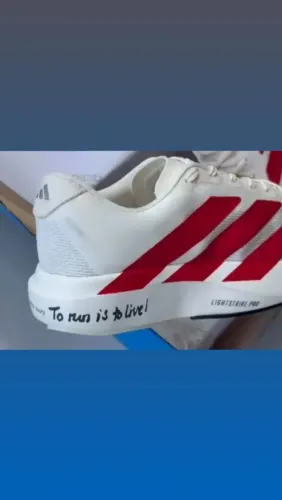 Adios zero Evo ls n40 usado semi novo 