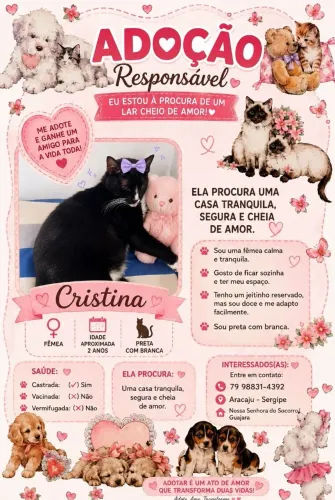 Adoção responsável - Gata castrada