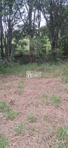 Área a Venda em Betim