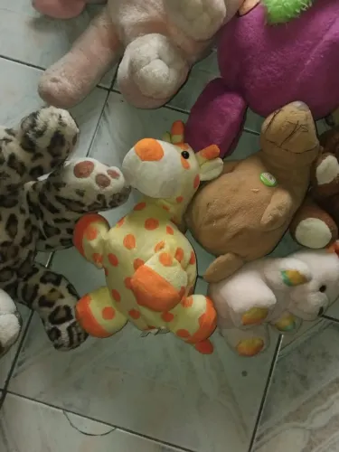 Lote de ursos de pelúcia