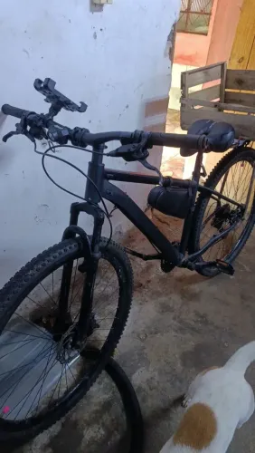 Bike Aro 29