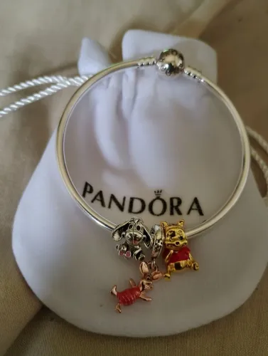 Pulseira do Poll em Prata 925 - Tamanho 17