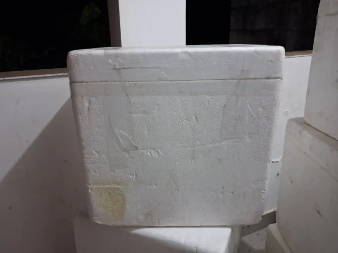 Caixa de isopor 70 litros usada 