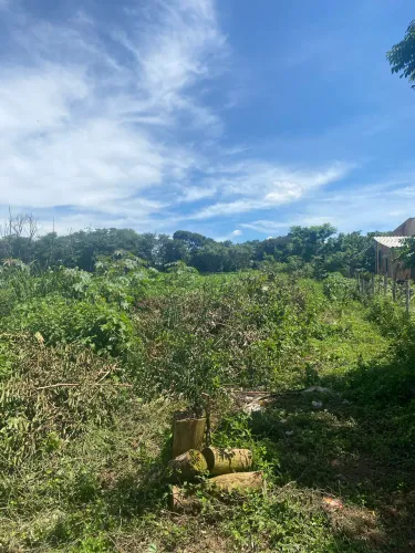 Lote de 784 m2 em Aparecida de Goiânia - Bairro de Chácaras - Oportunidade R$35mil