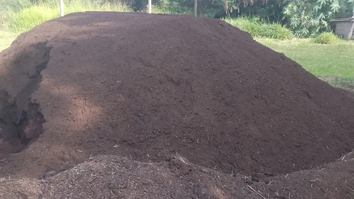 Vendo terra preta 