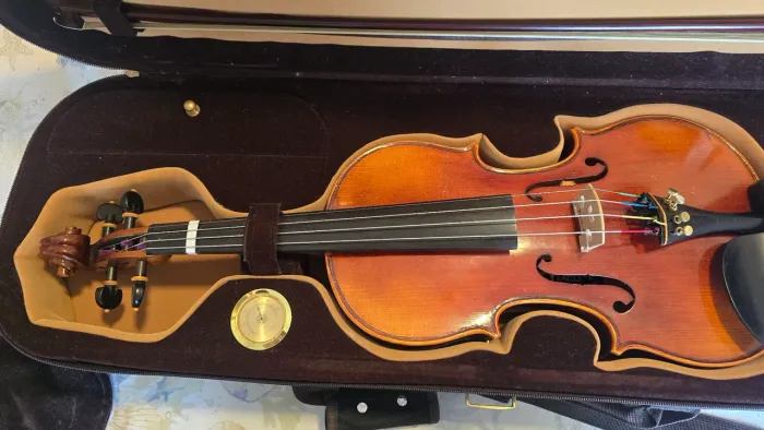 Vendo violino Eagle VK 844 4/4