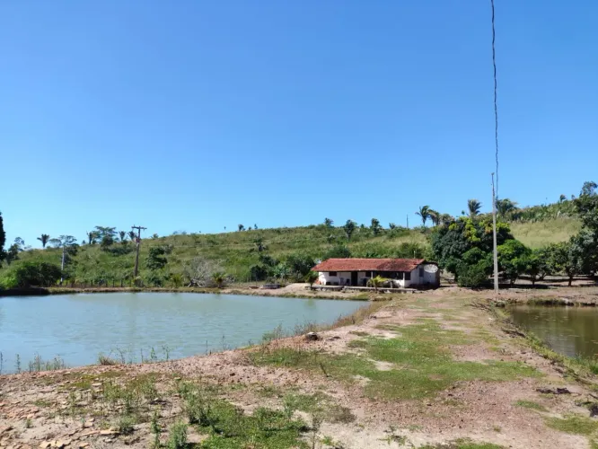Excelente Fazenda em Coroatá, rica em água, ótima pra Pecuaria