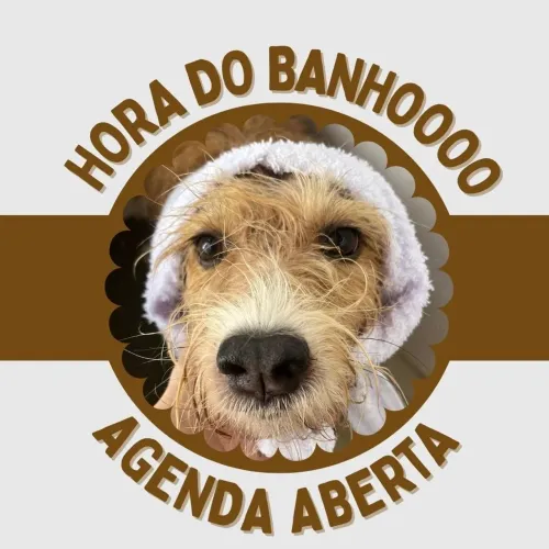 Banho & Tosa a Domicílio