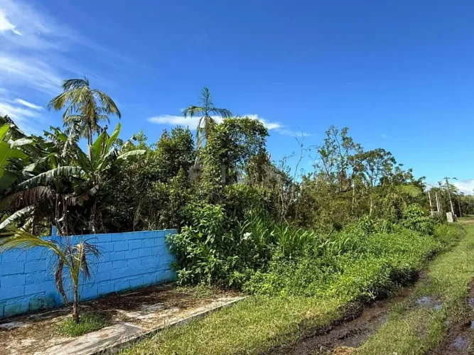 Lote/Terreno à Venda - Itanhaém