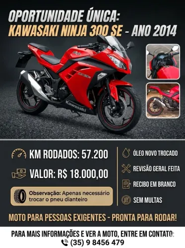 KAWASAKI NINJA 300 ( OBS 17000 A VISTA LEVA )