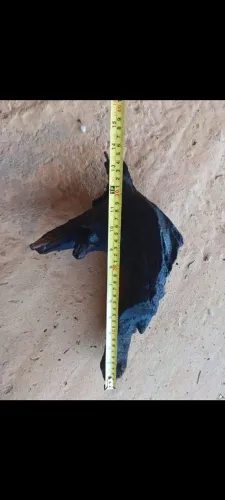 Tronco aquário