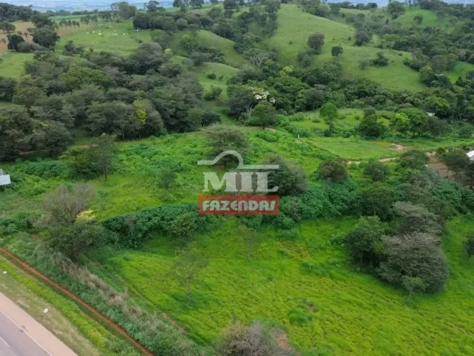 Área comercial 20.411M² - Br 153 Anápolis/Goiânia - Go
