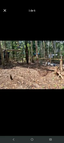 Terreno 