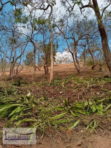 Terreno em Plante Cafe - Miguel Pereira