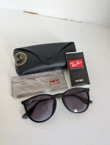 Ray-Ban Erika Classic