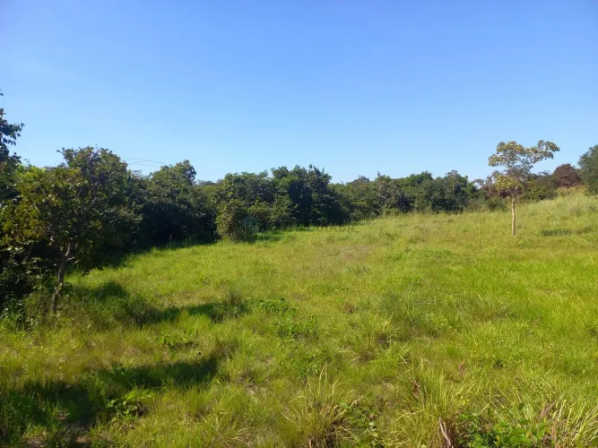 chácara de 2,9 hectares toda no cerradão bruto sem benfeitorias, toda cercada