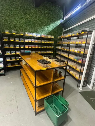 Prateleiras e Balcão Expositor 