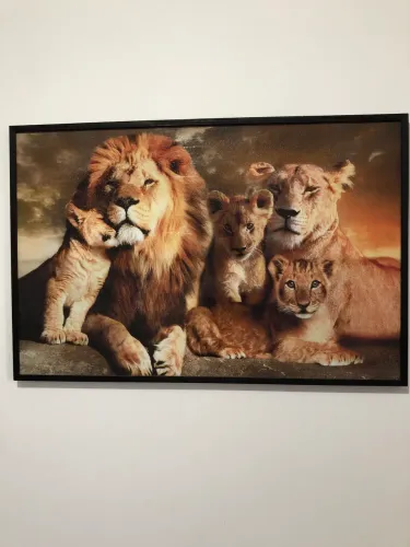 DOA-SE QUADRO