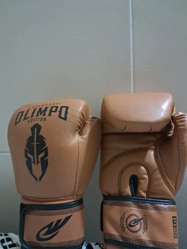 Luvas de Box Muay thai.