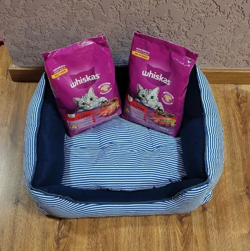 Caminha pet acompanha duas rações wiskas