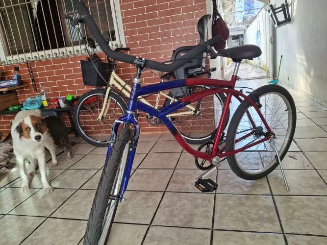 Bicicleta Caiçara
