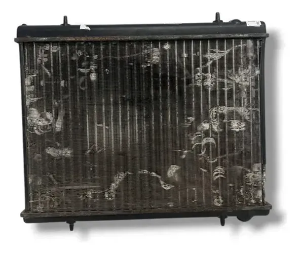 Radiador Água Peugeot 307 2.0 2002 2003 2004 2005