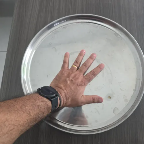 Bandeja inox para garçom