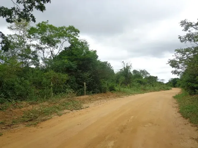 Area de terra de 20 hectares próximo à Cândido Sales