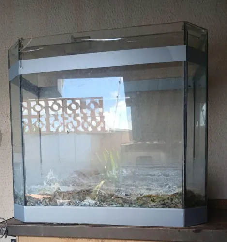 Vendo aquário