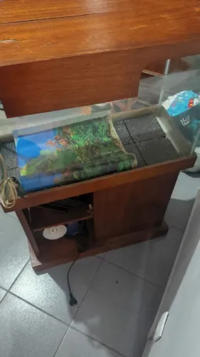 Aquário
