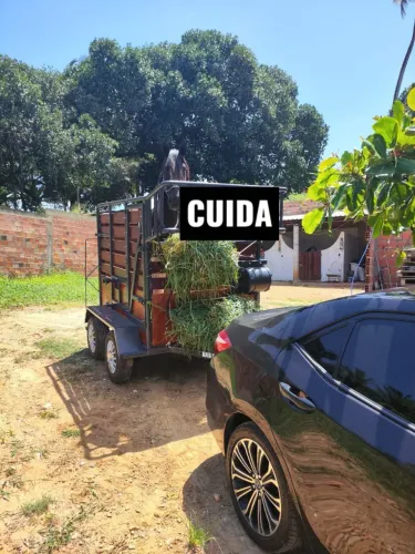 Reboque de cavalo de dois eixos luxo!