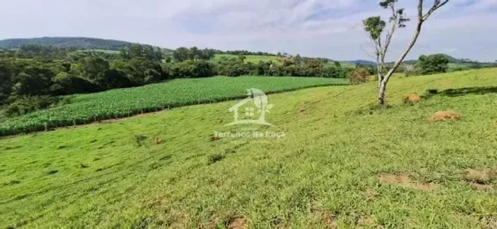 Fazenda de 53 hectares em- Itaguara - MG Excelente para produção com irrigação boa topogr