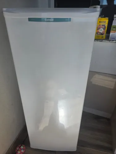 Freezer Horizontal.