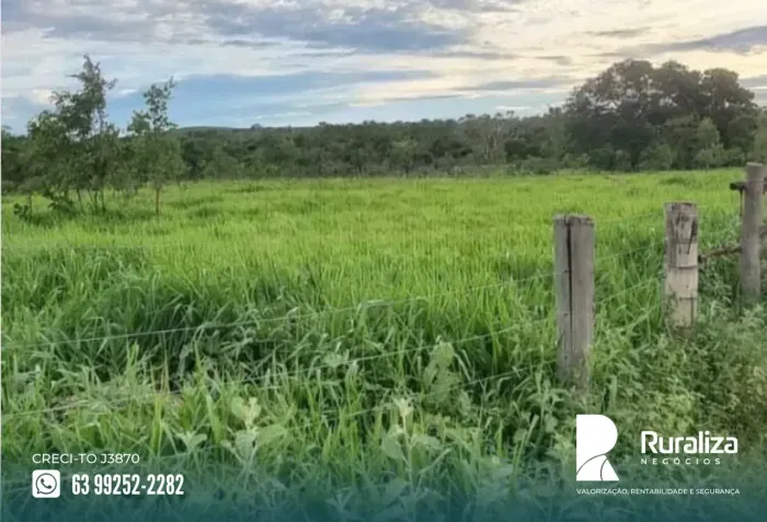 FAZENDA COM PISTA DE POUSO | RIO PARACATU | 527 ALQUEIRES