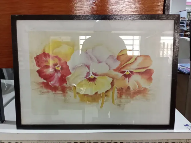 Quadro Gravura com Moldura de Madeira e Vidro 