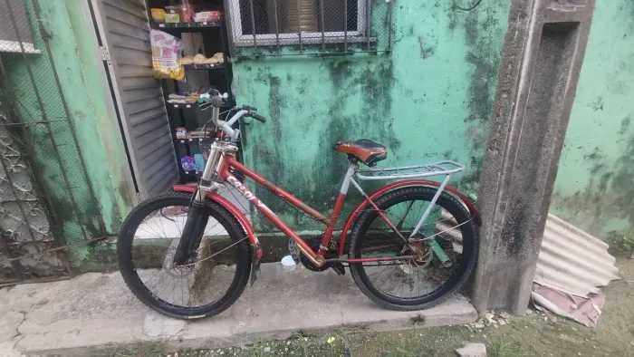 Bicicleta Poti