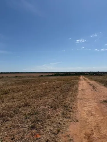 Fazenda de arrendamento 4 mil hec em Canarana MT. Plantando ágio 25 sacas por hec
