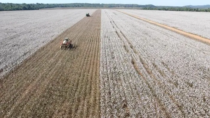 Fazenda de arrendamento 5 mil hec em Alta Floresta MT. Argila 35 a 50%
