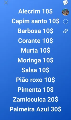 Mudas