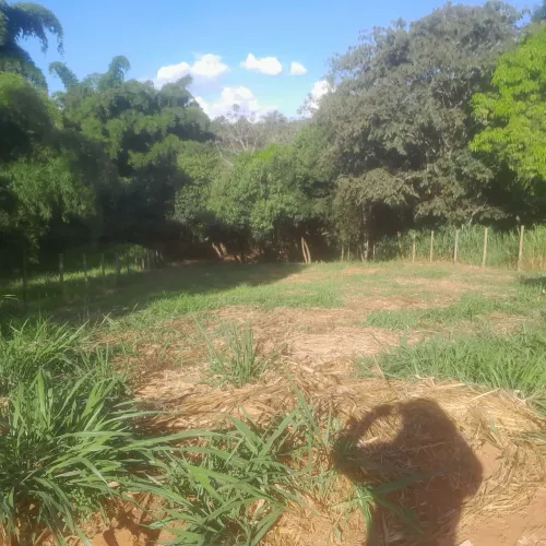 Terreno com Área Verde área maravilhosa
