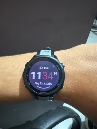 Garmin 245