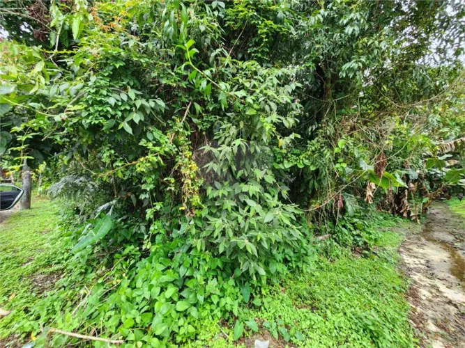 Terreno à venda em Riviera - SP