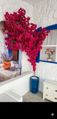 Cerejeira, flores,banco