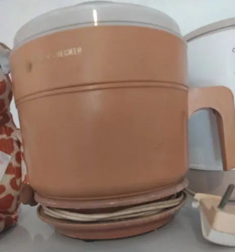 Espremedor de laranja elétrico 