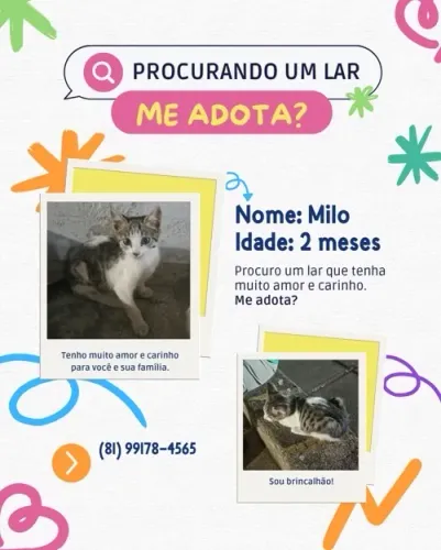 ADOÇÃO RESPONSÁVEL