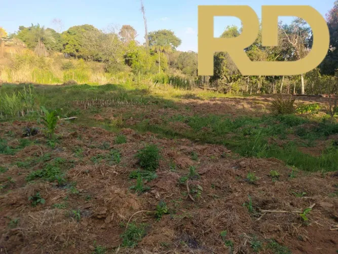Área 10 mil m. plana
