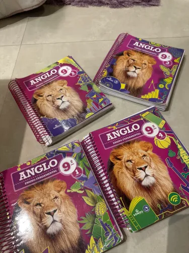 APOSTILA ANGLO 9º ANO