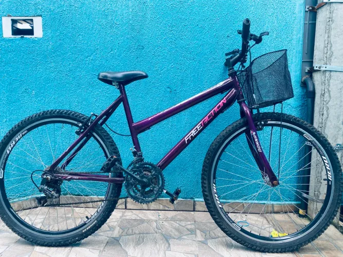 Bicicleta