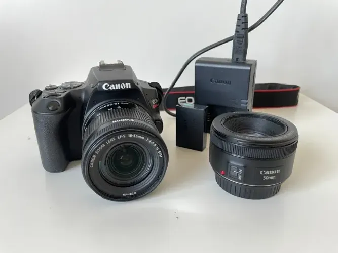 Canon Rebel SL3 + 50mm f/1.8 + Extreme Pro 64GB
